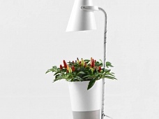 Wi-Fi 智能植物生長機 無土室內(nèi)種植神器 卉U